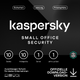 Kaspersky Small Office Security (1 Server + 10 Device + 10 Mobile - 1 Jahr) DACH ESD