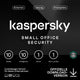 Kaspersky Small Office Security (1 Server + 10 Device + 10 Mobile - 1 Jahr) EU ESD