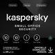 Kaspersky Small Office Security (1 Server + 10 Device + 10 Mobile - 2 Jahre) DACH ESD